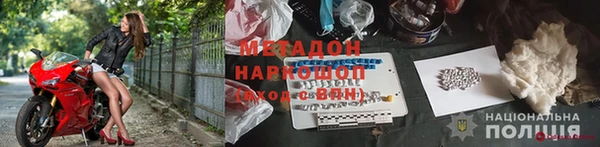 прущие грибы Алзамай
