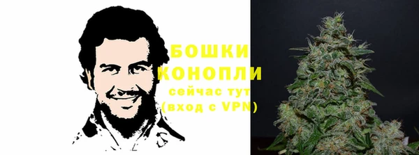 прущие грибы Алзамай