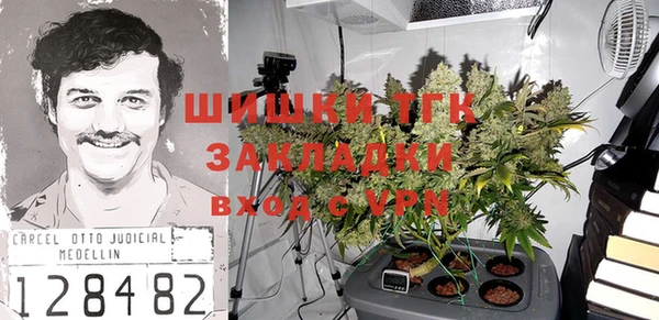 прущие грибы Алзамай